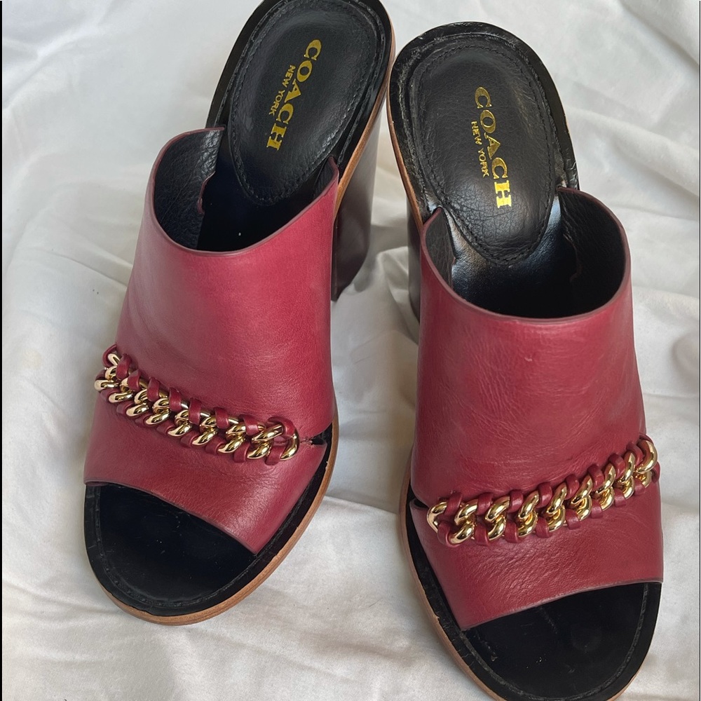 ***SALE, FINAL MARKDOWN- Coach Kylie Semi Matte Leather